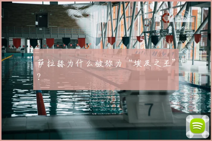 萨拉赫为什么被称为“埃及之王”？