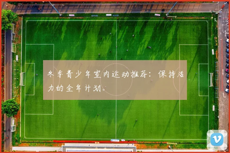 冬季青少年室内运动推荐:保持活力的全年计划。
