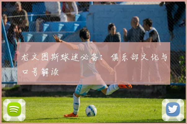 尤文图斯球迷必备:俱乐部文化与口号解读